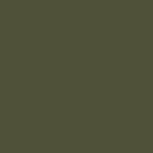 BS381-298 Olive Drab Aerosol Paint